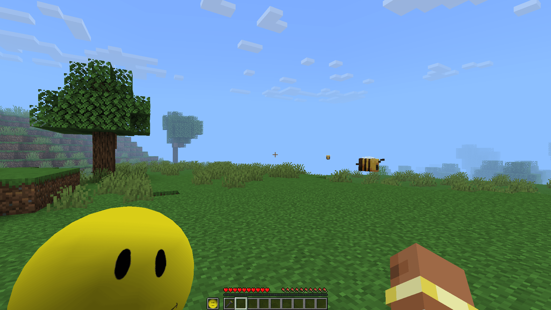 Verity character standing in a Minecraft Java scene